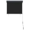 vidaXL Store extérieur 80 x 250 cm Anthracite Voir les images du produit 3