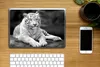 MuchoWow® Laptop Aufkleber Sticker Cover Tiger - Baum - Produktbild-Vorschau 2
