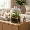 Vilde | Vorratsglas 6L mit Deckel - Vorratsgefäß - Produktbild-Vorschau 13