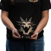 Herr der Ringe Mini Statue Skull of Smaug 22 cm Produktbild-Vorschau 8