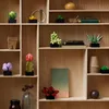 LEGO® Botanicals (Creator Expert) Sukkulenten--10309 Anteprima dell’immagine prodotto 24