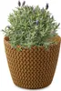 A potted lavender plant in a knitted-look planter. Podgląd zdjęcia produktu