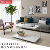 A modern living room with a sofa, coffee table, armchair, and a large plant. Anteprima dell’immagine prodotto