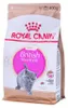 ROYAL CANIN British Shorthair Kitten - trockenfutter für Produktbild-Vorschau 9