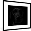 MuchoWow® Gerahmtes Poster Hund - Haustier - Schwarz 40x40 Produktbild-Vorschau 1