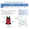 Haustier Rucksack Hund Tragetasche, Verstellbar Beinen Produktbild-Vorschau 2
