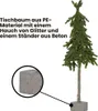 A small artificial Christmas tree with lights and a concrete base, shown with a close-up of the base. Produktbild-Vorschau