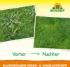 Vergleich Rasen vorher mit Unkraut, nachher dichter grüner Rasen: Rasendünger Moos und Unkrautstopp Produktbild-Vorschau