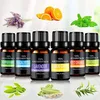 Ätherische Öle Set, 6 x 10 ml Aromatherapie Duftöl 100% Produktbild-Vorschau 1