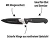 STONELINE® Schälmesser mit Klingenschutz Edelstahlmesser Produktbild-Vorschau 4