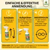 Kakerlaken Abwehrspray Power-Konzentrat 500 ml – Kakerlaken Produktbild-Vorschau 3