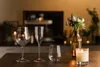 Duni Kunststoff Weinglas Elegance 40cl Produktbild-Vorschau 5