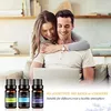 Ätherische Öle Set, 6 x 10 ml Aromatherapie Duftöl 100% Produktbild-Vorschau 5