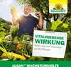 Neudorff Algan Wachstumshilfe 250 ml - natürlicher Produktbild-Vorschau 6