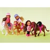 Simba Dickie Evi Love Evi's Pony, 3 assortiti 105737464 Anteprima dell’immagine prodotto 10