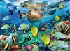 Ravensburger - Il paradiso sottomarino 150 pezzi Anteprima dell’immagine prodotto 2