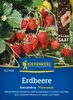 Kiepenkerl Erdbeersamen Pillensaat Alexandria Fragaria Produktbild-Vorschau 1
