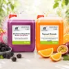 2 er Set Slush Eis Sirup | Drachenfrucht und Orange Produktbild-Vorschau 2