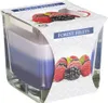 Bougie en verre DUHA FOREST FRUIT parfumée 170g Voir les images du produit 4