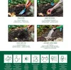 Bloomique - Mix 3 - Paeonia - Piwonia - Czerwona, Biała, Podgląd zdjęcia produktu 7