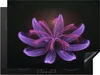 KitchenYeah© Herdabdeckplatte Lila Deadhead Blume , Produktbild-Vorschau 1