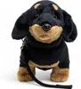 Carl Dick Teckel debout noir avec laisse env. 30cm de long, Voir les images du produit 2