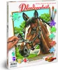 Noris Spiele Malen nach Zahlen - Pferdeportrait; 609240381 Produktbild-Vorschau 4