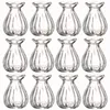 12 x Vasen aus Glas für eine stilvolle Tischdeko - Produktbild-Vorschau 4