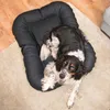 A dog is resting in a black dog bed on a light-colored rug. Produktbild-Vorschau