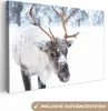 MuchoWow® - Leinwandbilder - Hirsche - Rentiere - Schnee, Produktbild-Vorschau 1