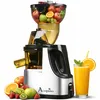 Acopino Delicato Slow Juicer – leiser Entsafter mit Produktbild-Vorschau 1