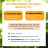 Florfliegenlarven gegen Blattläuse, Spinnmilben, Thripse & Produktbild-Vorschau 4