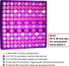 Lampada LED per piante da 45 W, lampada da coltivazione con Anteprima dell’immagine prodotto 2