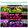 Three different light colors illuminating plants. Náhľad obrázku produktu