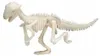 Set di scavo per scheletri di dinosauro con scalpello e Anteprima dell’immagine prodotto 18