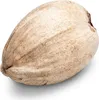 Bräunliches, unversehrtes dekoratives Naturprodukt, ca. Produktbild-Vorschau 2