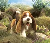 Folkmanis Basset Handpuppe 40 cm Hund Produktbild-Vorschau 9