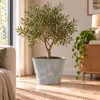 Květináč TUBUS BETON EFFECT 40 cm - barva: šedá Anteprima dell’immagine prodotto 5