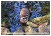 Waschbär - Niedlicher Allesfresser (Wandkalender 2027 DIN Produktbild-Vorschau 12