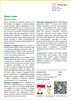 SAFLAX - Malwa biała - 100 Nasiona - Alcea rosea Podgląd zdjęcia produktu 3