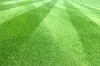 A close-up view of a freshly mown lawn with distinct stripes. Produktbild-Vorschau