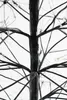 Luca Lighting Arbre de lumière pour l'extérieur - H150 x Voir les images du produit 6