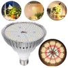 A collage of images showing a grow light bulb and various plants under different lighting conditions. Anteprima dell’immagine prodotto