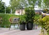 Two potted plants on a wooden deck next to a chair, with a body of water and greenery in the background. Náhľad obrázku produktu