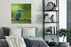 MuchoWow® Poster Eisvogel - Zweig - Moos - Vogel - Grün Produktbild-Vorschau 4