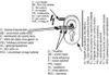 Diagram showing how to connect wires to a door handle module. Produktbild-Vorschau