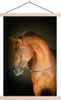 MuchoWow® Textilposter Pferd - Braun - Schwarz 60x90 cm mit Produktbild-Vorschau 1