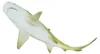 Safari Ltd Lemon Shark Figur Gelb From 3 Years Gelb From 3 Produktbild-Vorschau 5