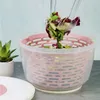 WESTMARK 2430226P WESTMARK Salatschleuder Spinderella rosa Náhled obrázku produktu 10