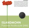Islandmohn Samen Mix (Papaver nudicaule) - Wunderschön Produktbild-Vorschau 3